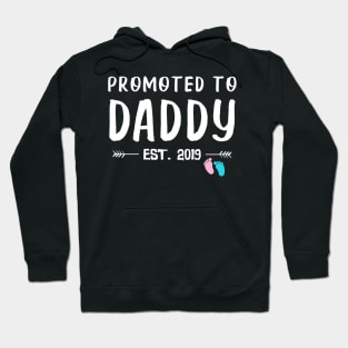 First Time Daddy New Dad Est 2019 Father's Day Gifts Hoodie